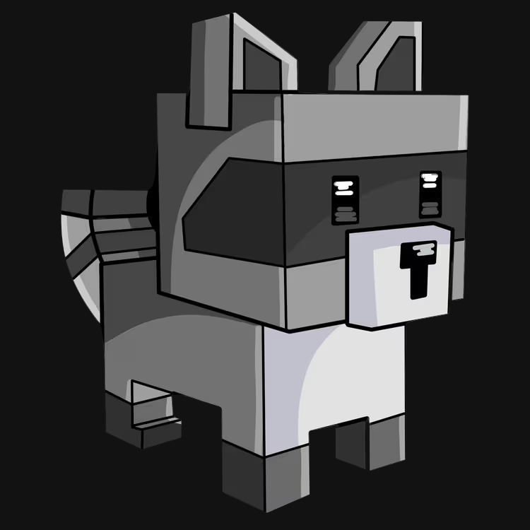 Raccoon